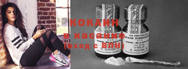 дмт Арсеньев