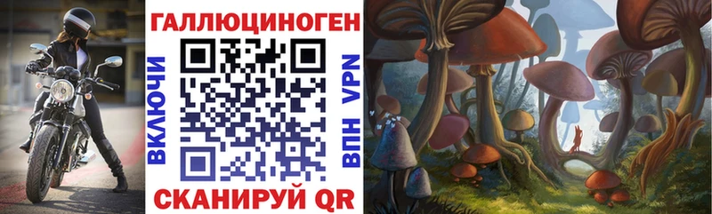 Псилоцибиновые грибы Psilocybine cubensis  Таруса 